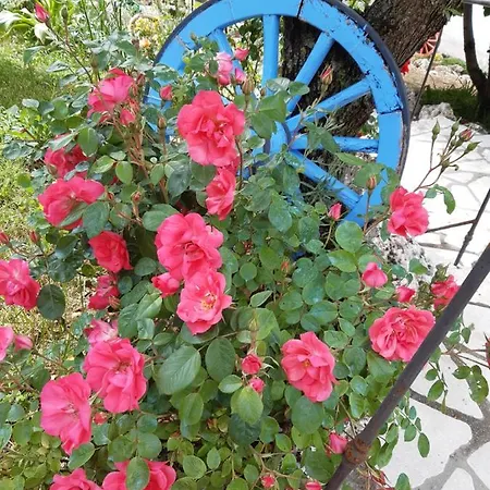 Il Girasole Bed & Breakfast