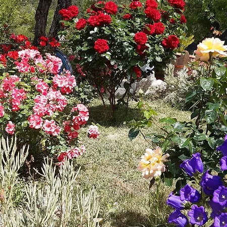 ベッド・アンド・ブレックファスト Il Girasole 3*