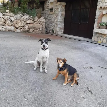 Il Girasole ベッド・アンド・ブレックファスト