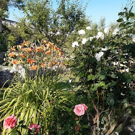 Il Girasole Bed & Breakfast Castelvecchio Calvisio
