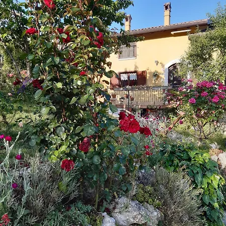 Il Girasole