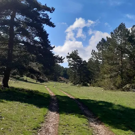 Il Girasole ベッド・アンド・ブレックファスト