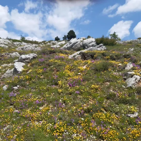 Il Girasole ベッド・アンド・ブレックファスト 3*