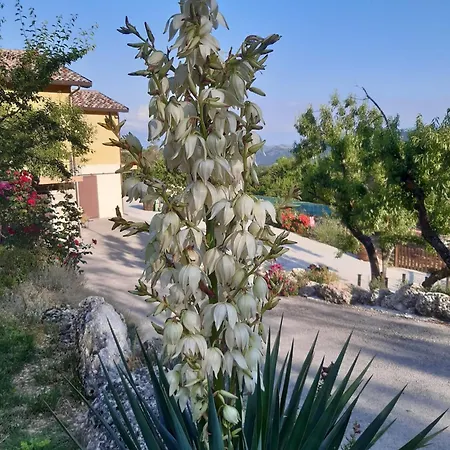 Bed & Breakfast Il Girasole Castelvecchio Calvisio