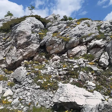 ベッド・アンド・ブレックファスト Il Girasole 3*