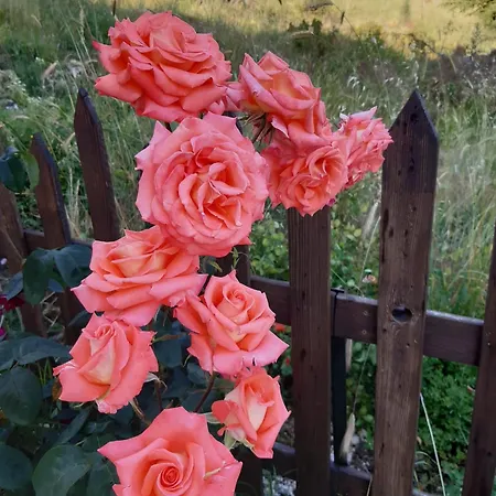 Il Girasole 3* Castelvecchio Calvisio