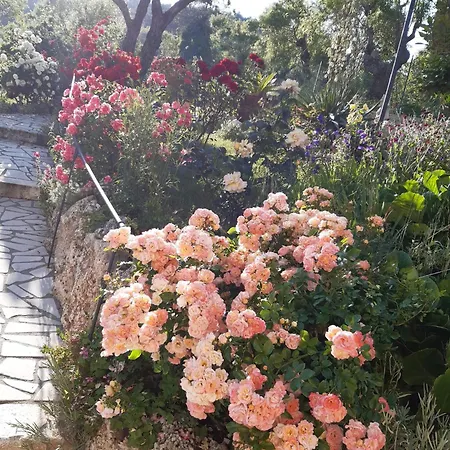 Il Girasole Bed & Breakfast