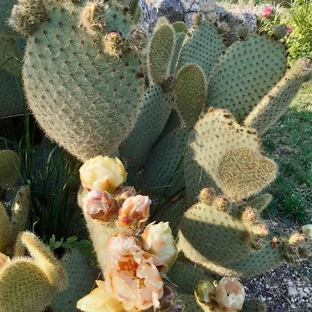 ベッド・アンド・ブレックファスト Il Girasole 3*