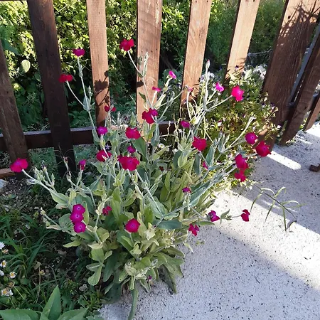 Il Girasole Bed & Breakfast Castelvecchio Calvisio