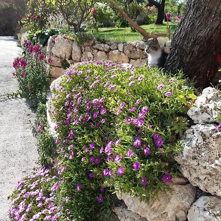 Bed & Breakfast Il Girasole Castelvecchio Calvisio