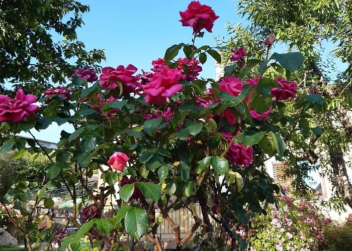 Bed & Breakfast Il Girasole