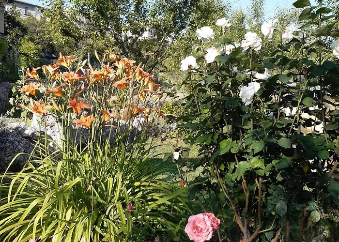 Il Girasole Bed & Breakfast Castelvecchio Calvisio