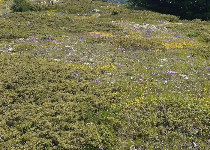 Bed & Breakfast Il Girasole Castelvecchio Calvisio