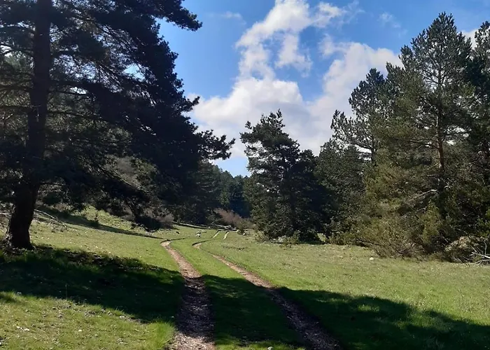 Il Girasole Bed & Breakfast