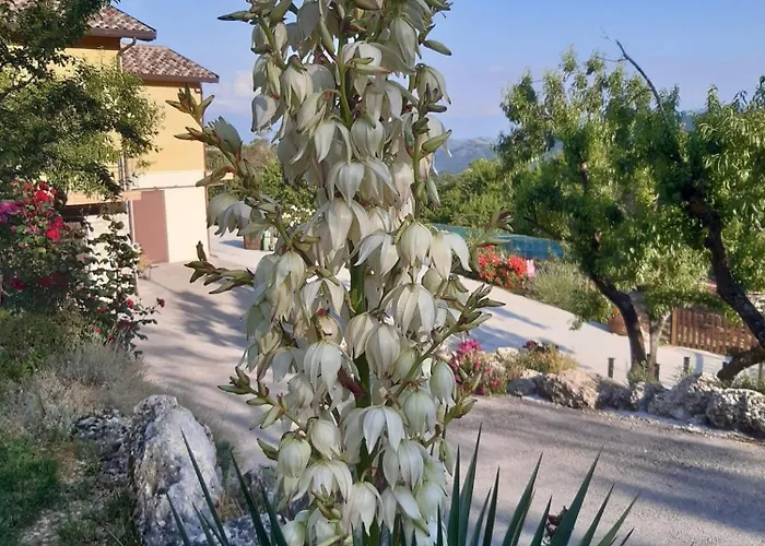 Bed & Breakfast Il Girasole Castelvecchio Calvisio