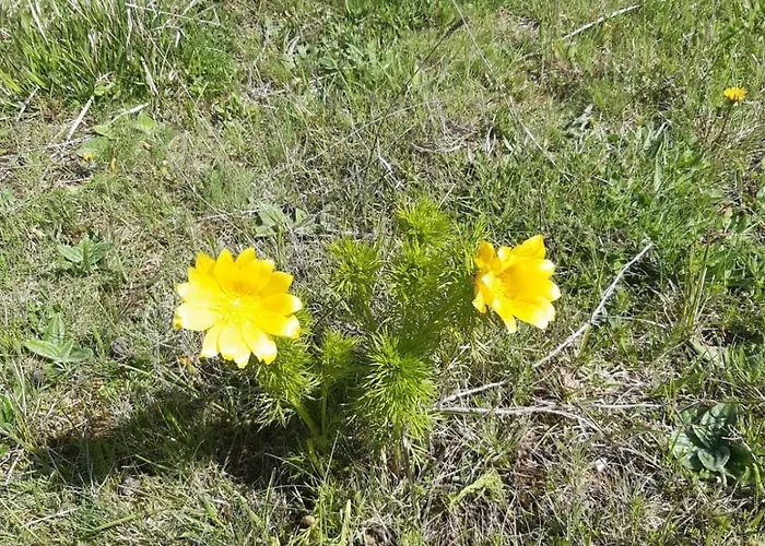 Il Girasole 3* Castelvecchio Calvisio
