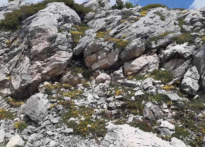 Bed & Breakfast Il Girasole 3*