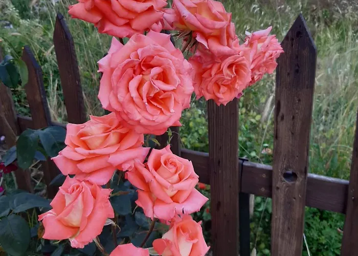 Il Girasole 3* Castelvecchio Calvisio