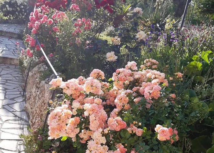 Il Girasole Bed & Breakfast