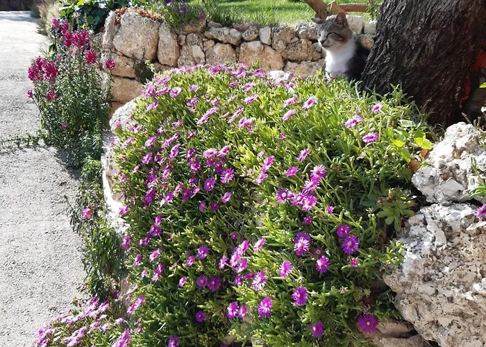 Bed & Breakfast Il Girasole Castelvecchio Calvisio